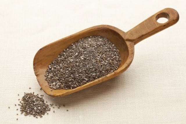 what are chia seeds?