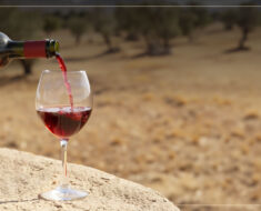 wines of israel