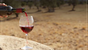 wines of israel