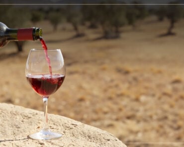 wines of israel